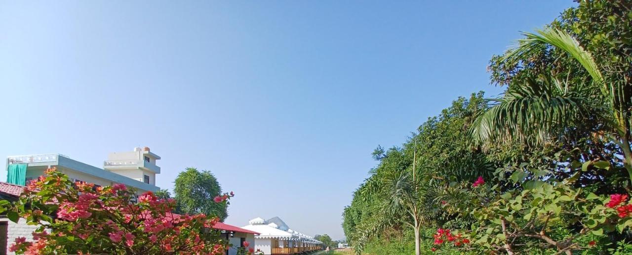 Hotel Green Haveli - A Heritage And Hill View Hotel , Pushkar Exterior photo